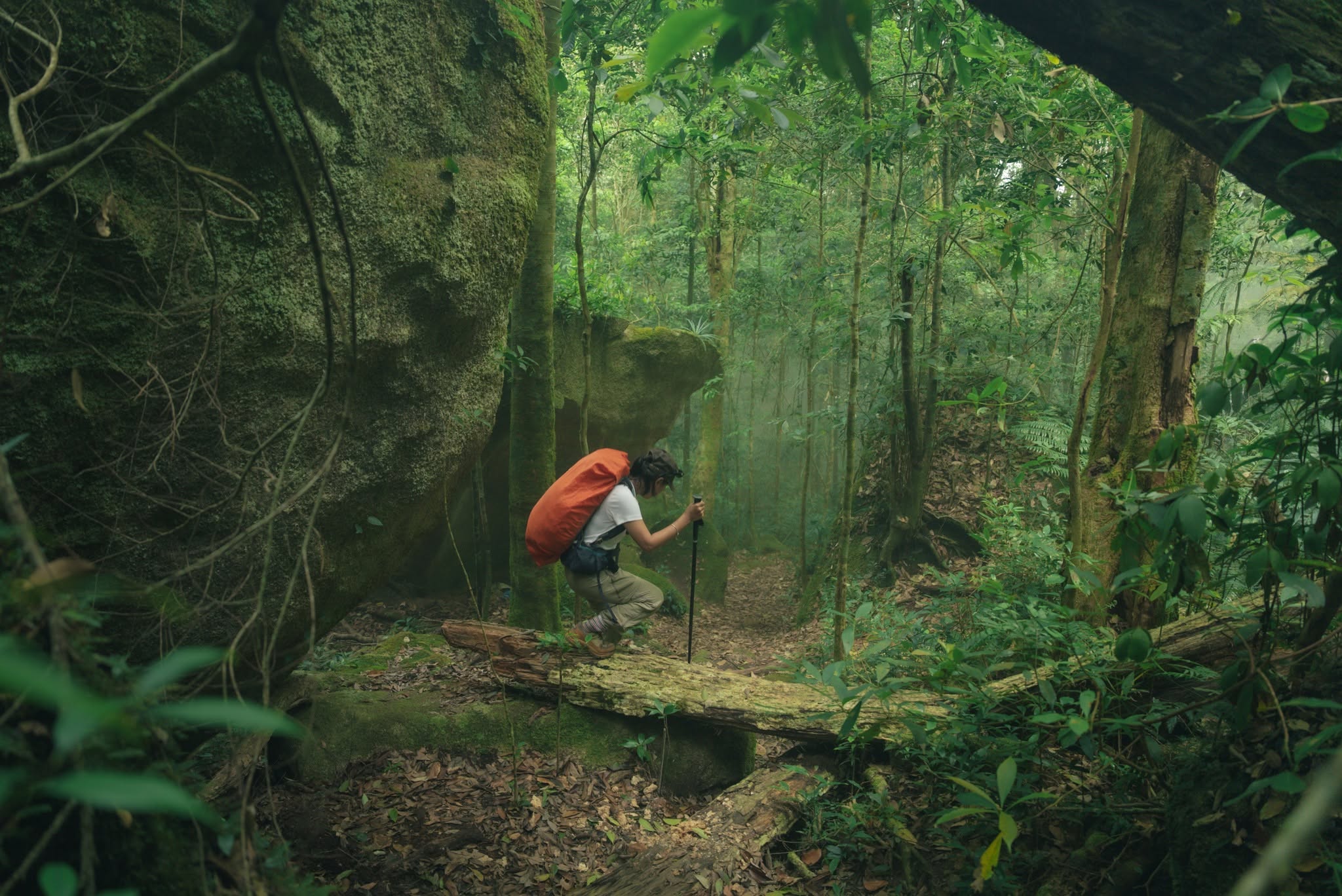 Through the Ancient Forest of Phnom Aural