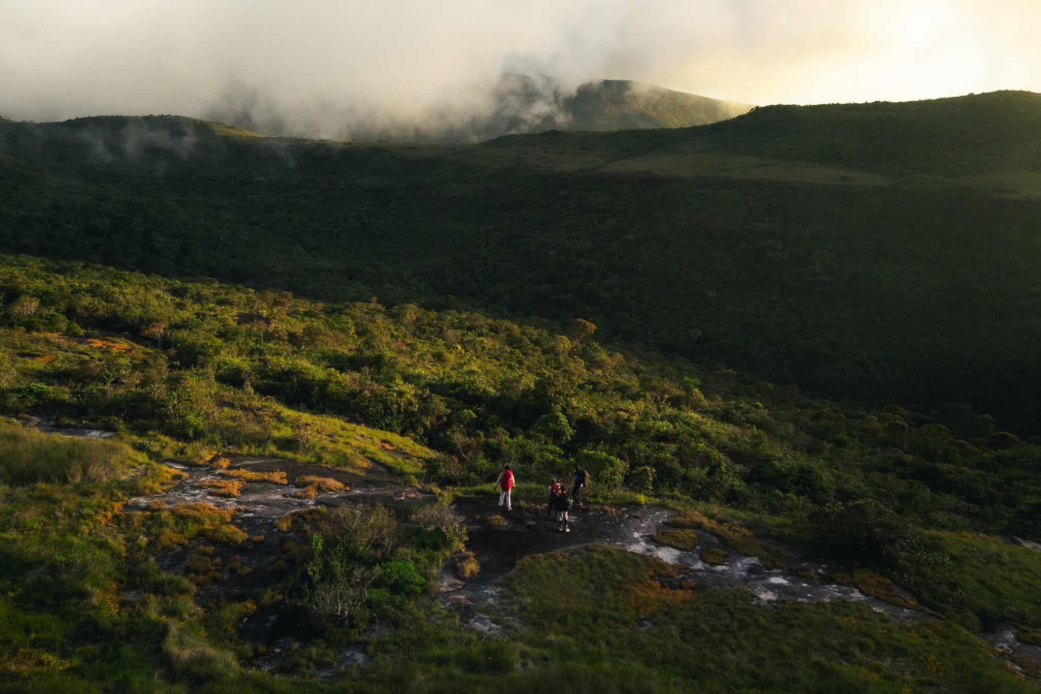 Into the Mountain Wilderness