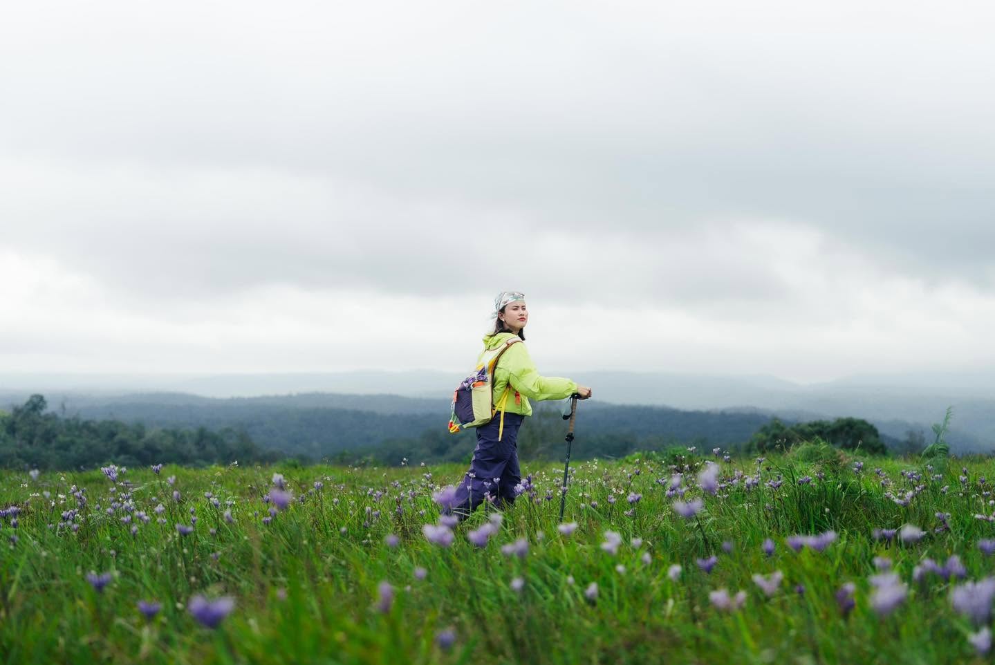 A Meadow of Wildflowers