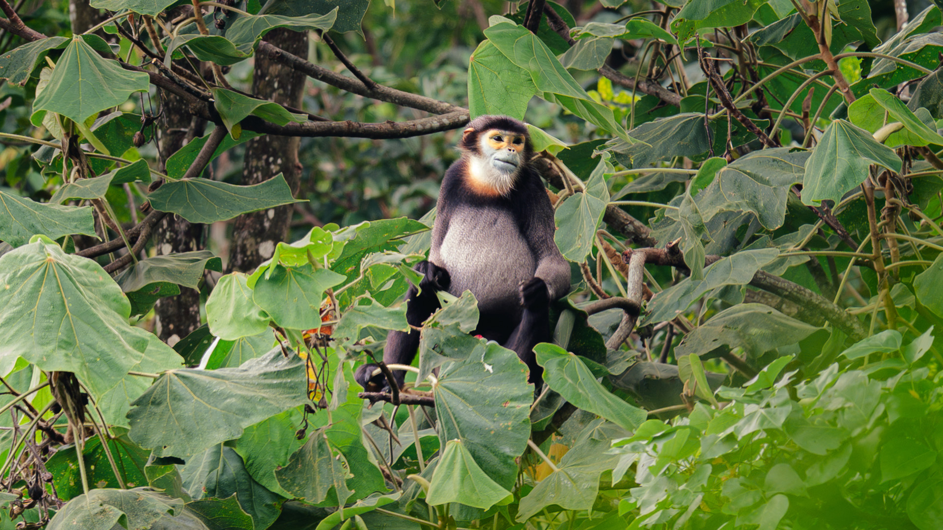 Wildlife Sanctuary