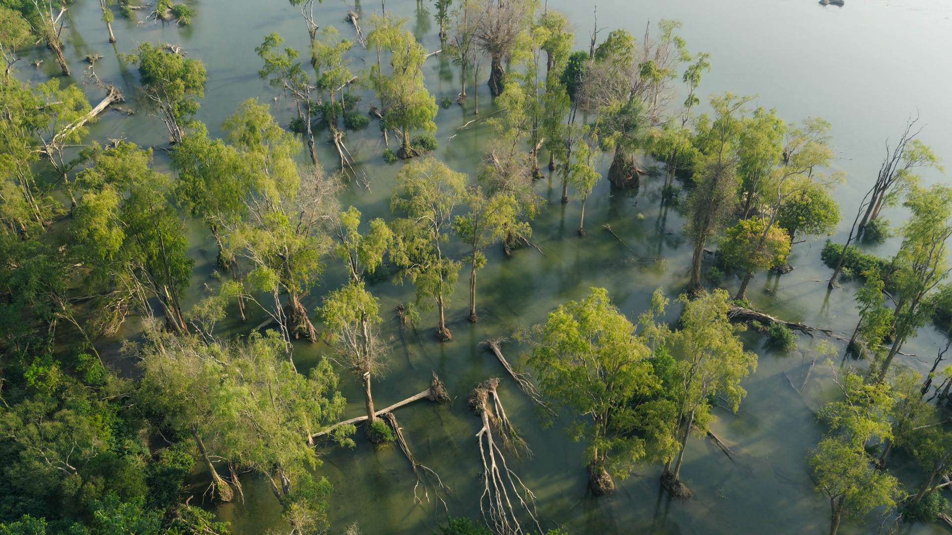 Stung Treng