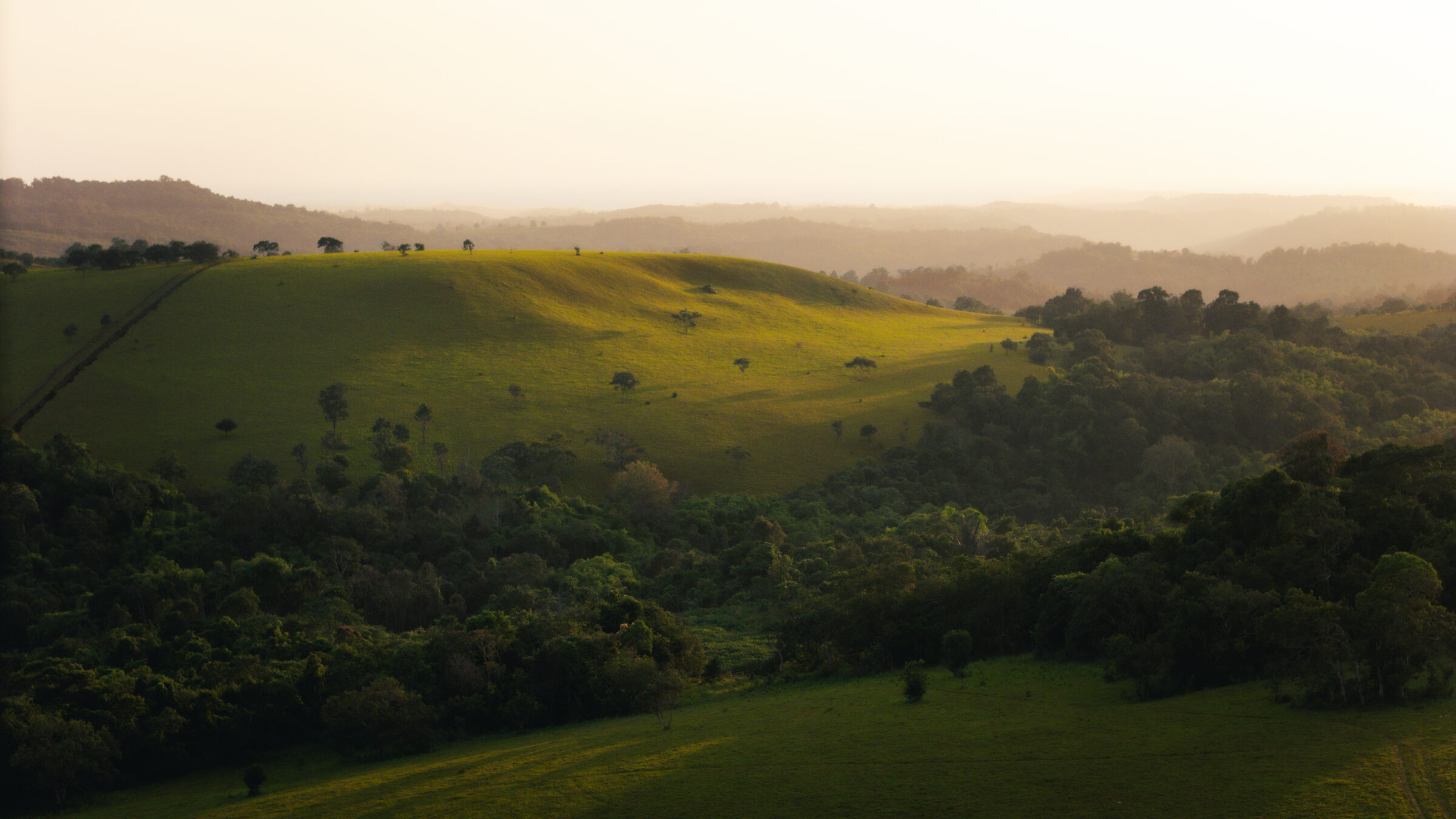 Mondulkiri pine ridges