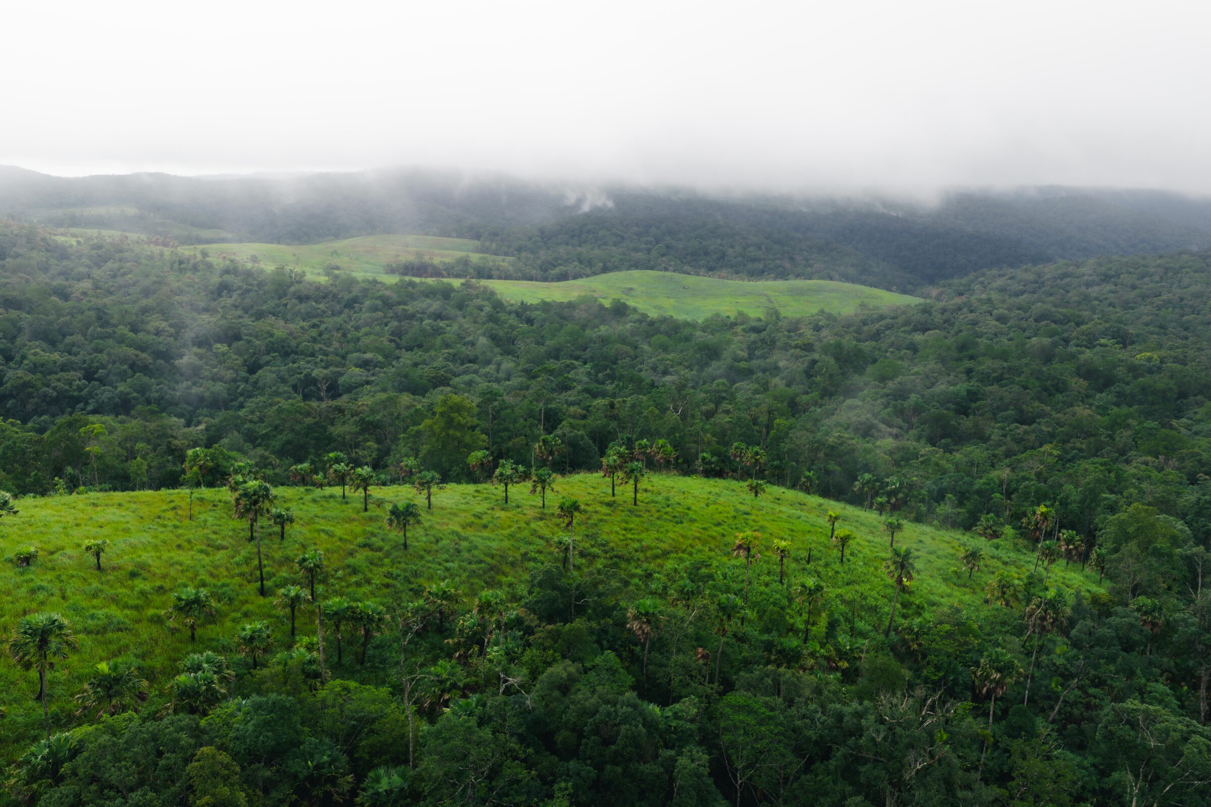 Untouched landscape.