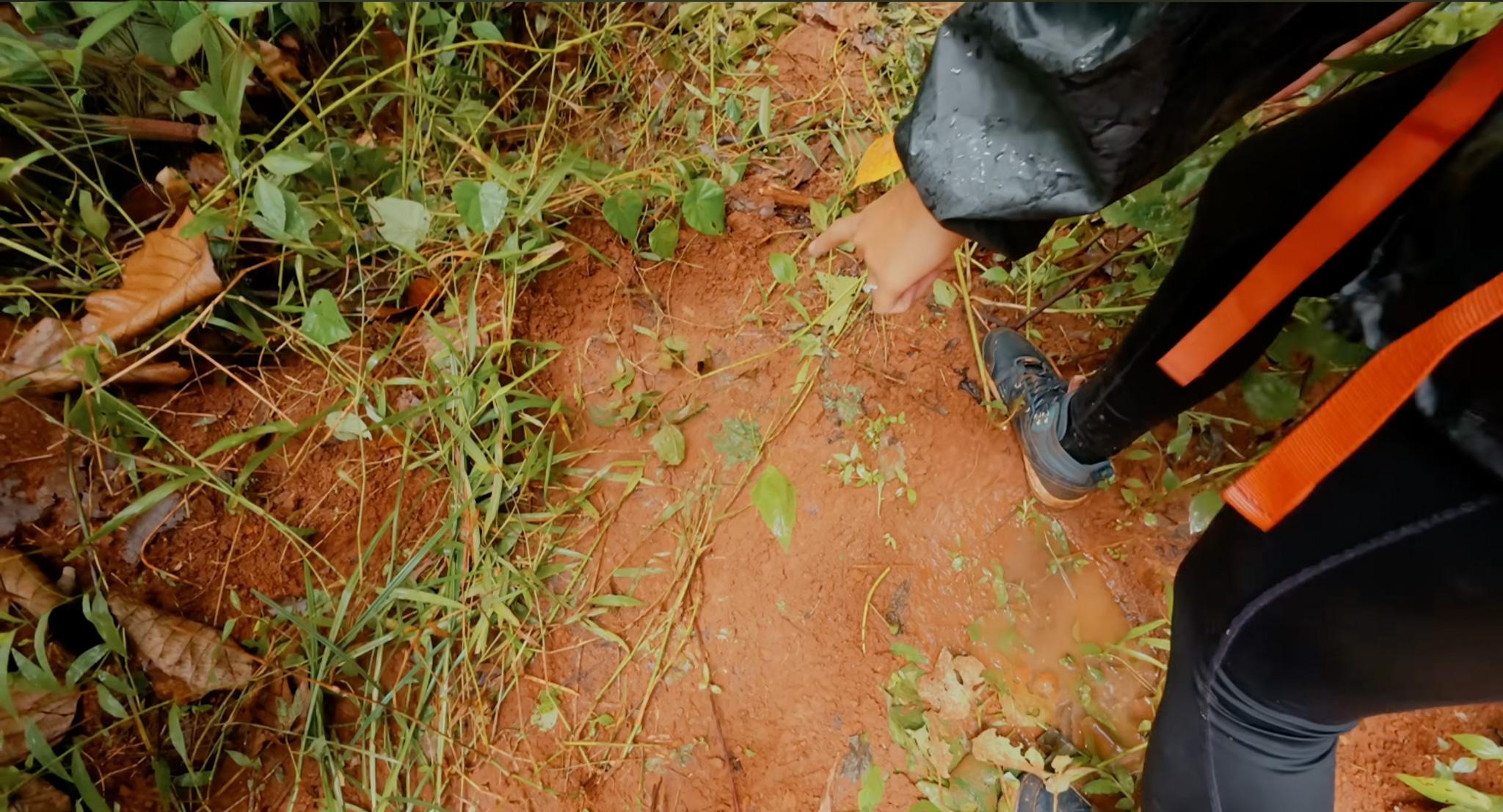Big Elephants footprint,