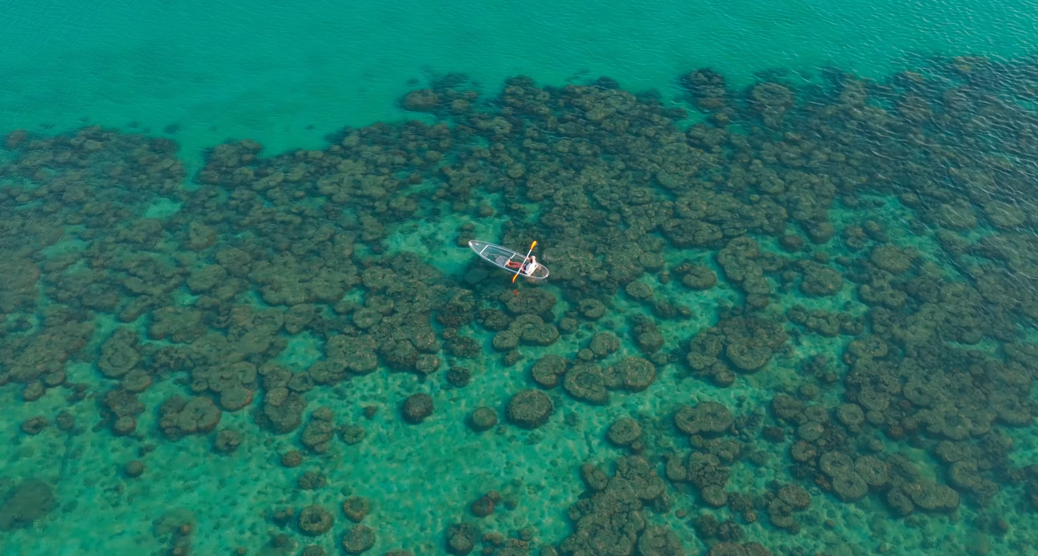 Above the Coral
